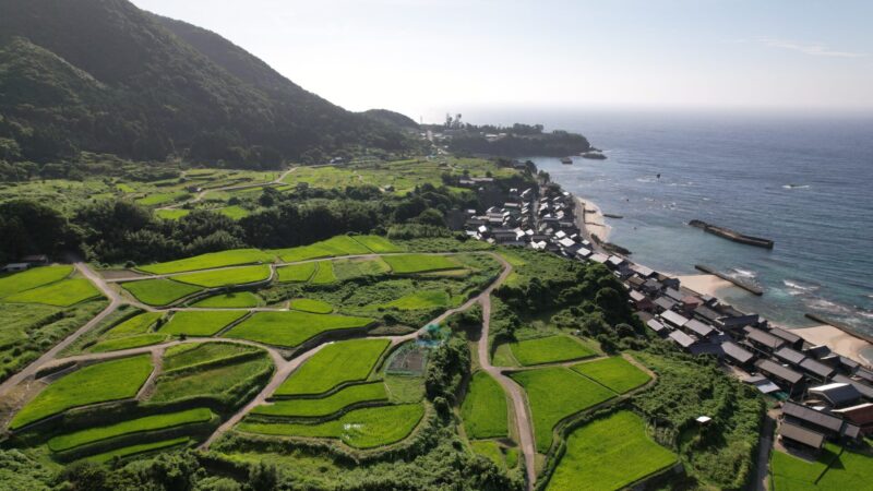 京丹後・袖志の棚田